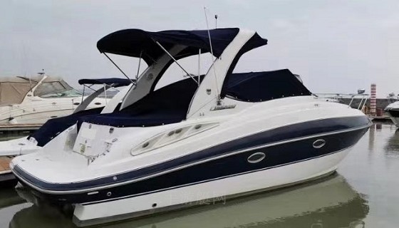 Cruisers Sprot 315